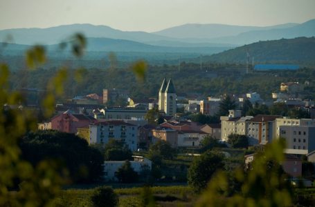 VAISTAI IŠ DANGAUS  (Terezia Gažiova)