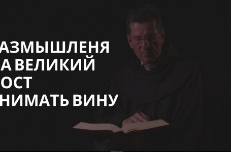 Снимать вину – fra Ante Vučković