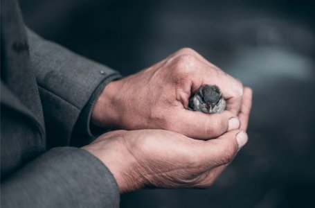 ŠĖTONAS NORI JUS SUPANČIOTI NESANTAIKOS IR NEAPYKANTOS PANČIAIS(Tėvas Liubo Kurtovičius, OFM)
