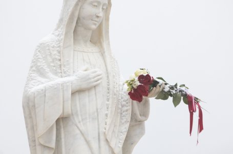 Turime būti Dievo meilės gynėjai  (tėvas Маrinko Šakota, OFM)