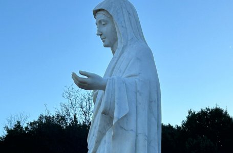 Dievo Motinos, Taikos Karalienės, žinia 2026 m.vasario 25 d.