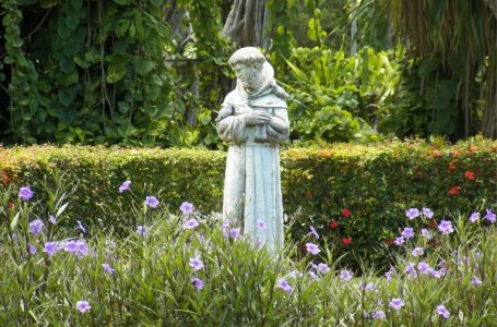 PAAUKOKITE SAVO GYVENIMĄ DIEVUI(Teresa Gažiova)